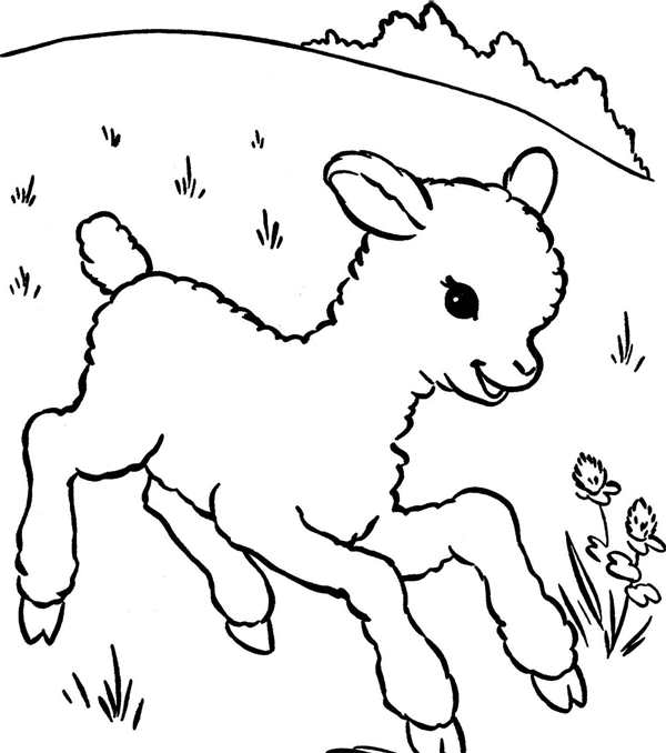 Раскраска коза для детей 3-4 лет