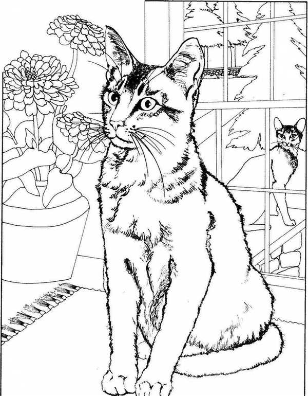 Кошки. Раскраска
