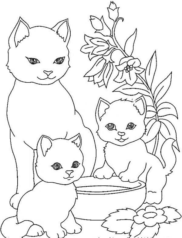 Котенок. Раскраска