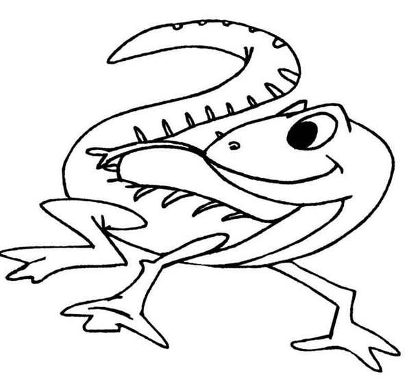 Ящерица раскраска