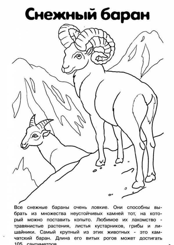 Красная книга раскраска