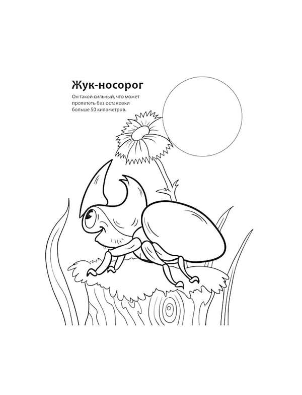 Рисунки животных занесенных в красную книгу