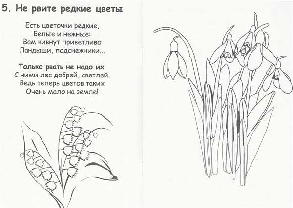 Красная книга раскраска для детей