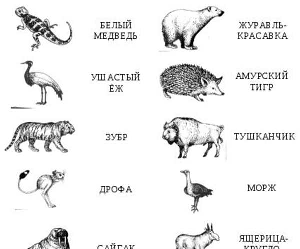 Раскраска Красная книга Веселые Занятия с Природой