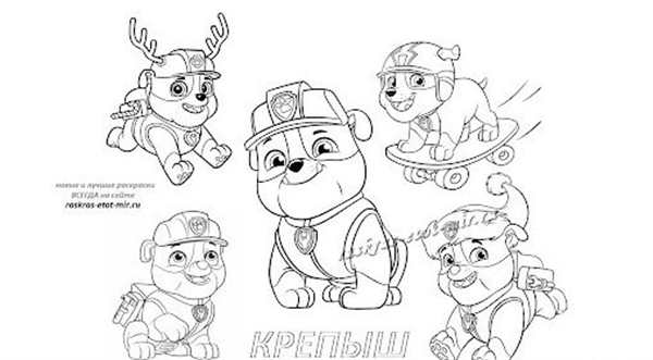 Paw Patrol раскраска Скай