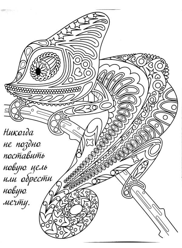 Раскраска-антистресс животные