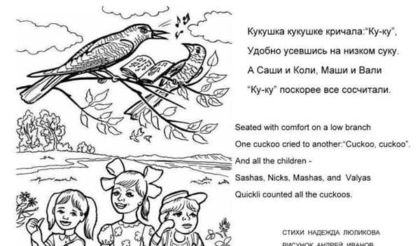Раскраска Кукушка на суку