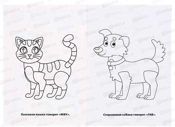 Раскраска Кукутики Волшебный Способы Отдыха Детей