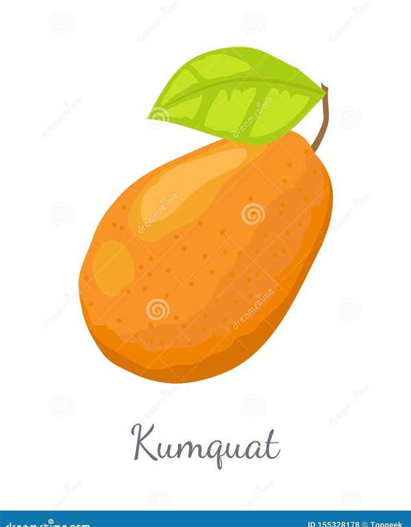 Жимолость куст