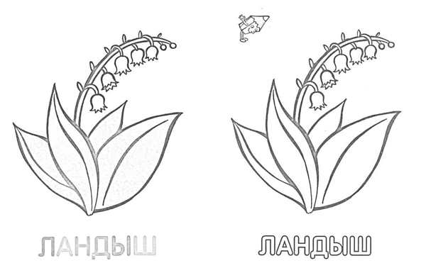 Весенние цветы раскраска для детей
