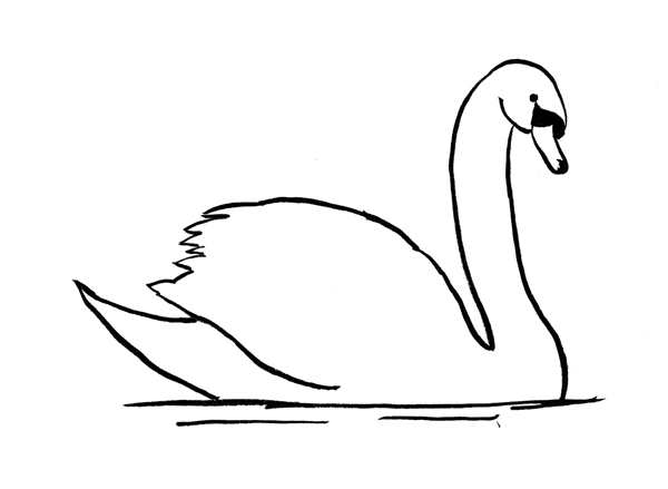 Лебедь рисунок карандашом