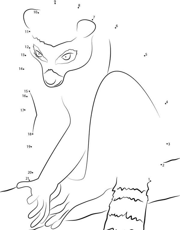 Кошачий лемур раскраска