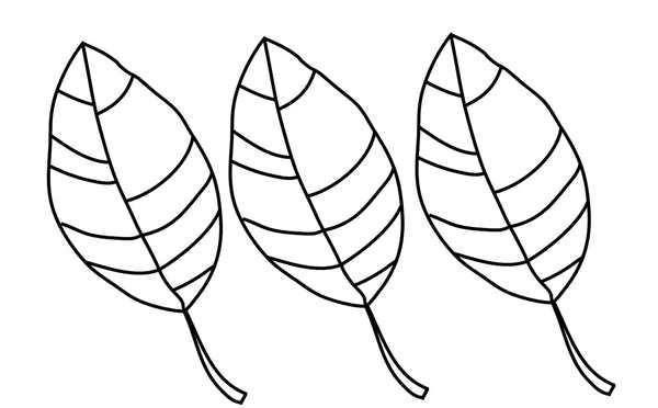 Раскраска Лист ясеняCreative Coloring for Relaxation