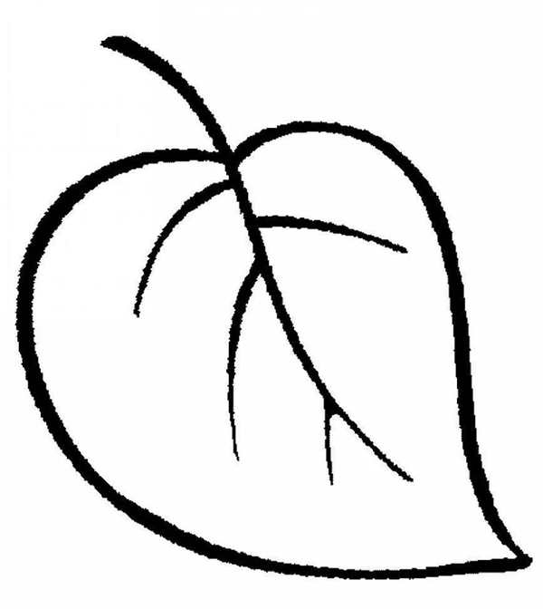 Листья раскраска