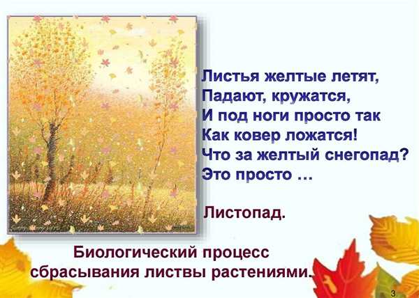 {Раскраска для точечных маркеров}