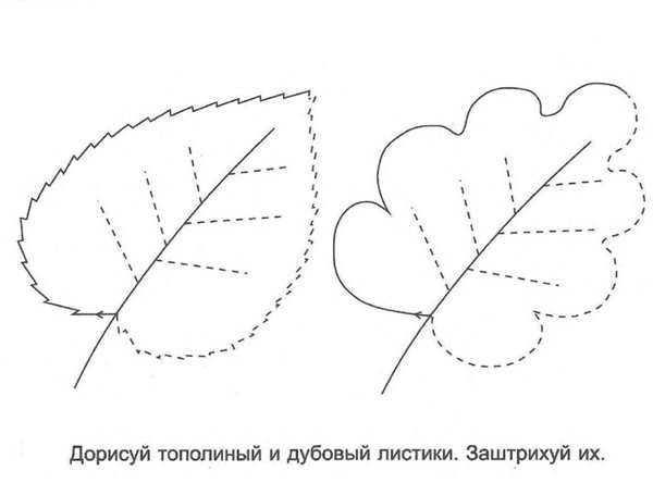 Раскраска листья букет