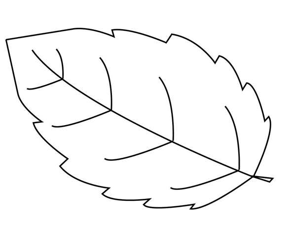 Листья раскраска