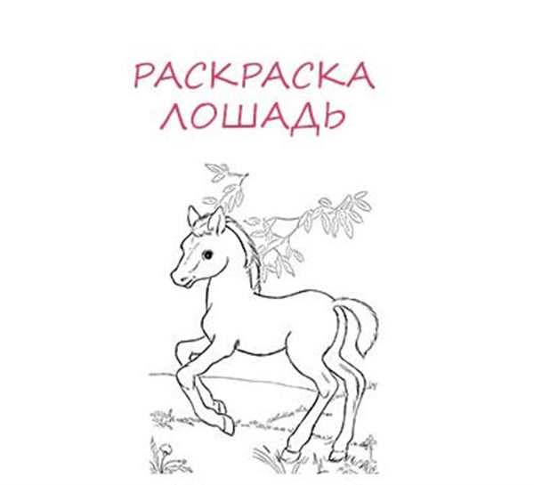 Раскраска Лошадь Мама и Её Малыш