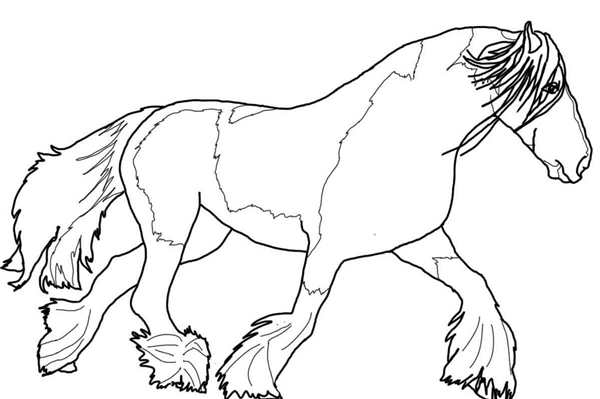 Raskraska doshd
