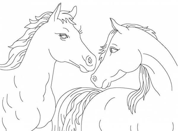 Раскраска ЛошадьCreativity on Paper