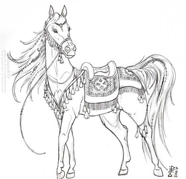 Раскраска ЛошадьCreativity on Paper