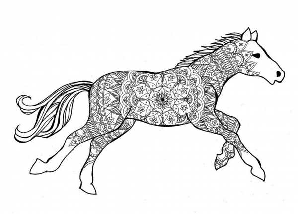 Рисунок лошади для раскрашивания