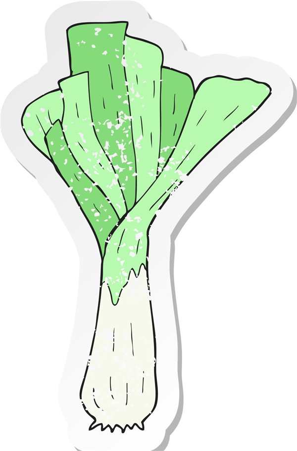 Лук порей рисунок