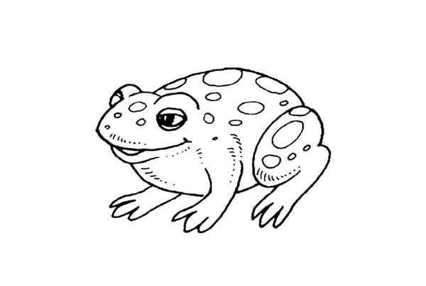 Лягушка раскраска