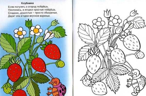 Клубника раскраска