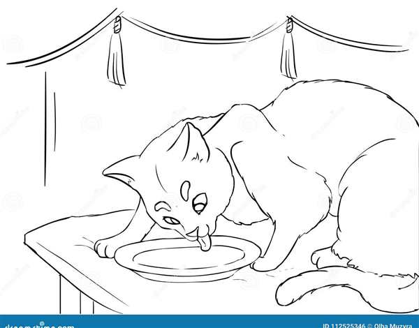 Котенок. Раскраска