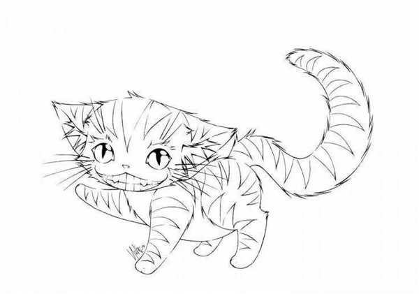 Удивленный котик