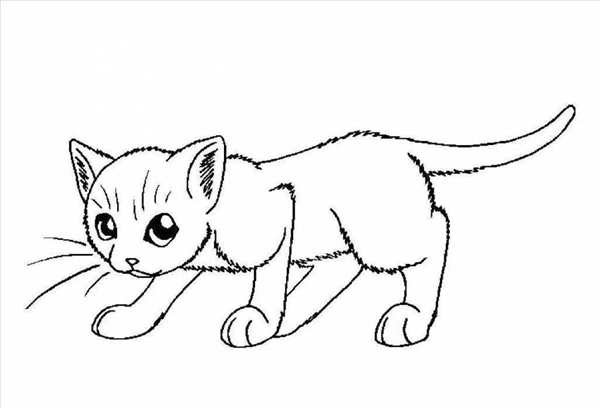 Раскраска. Котики