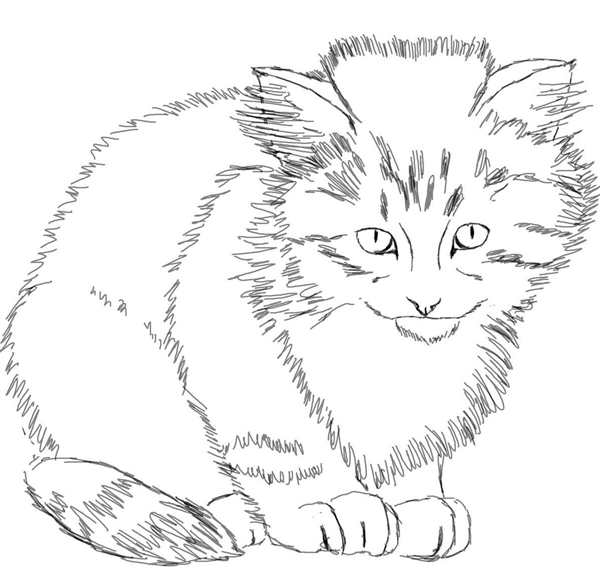 Раскраска. Котики