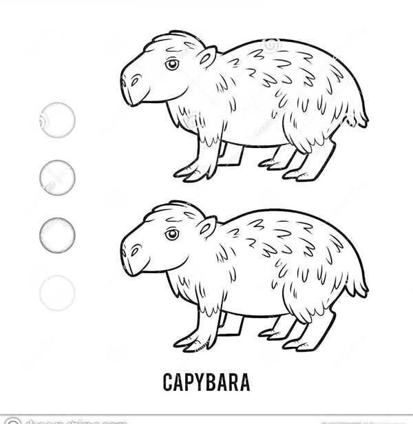 Раскраска кофибара