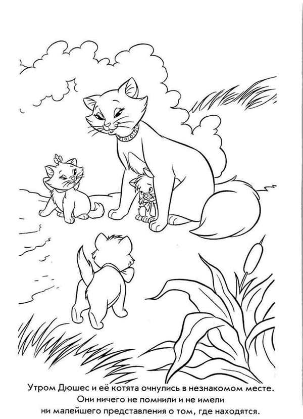 Кошка раскраска для детей