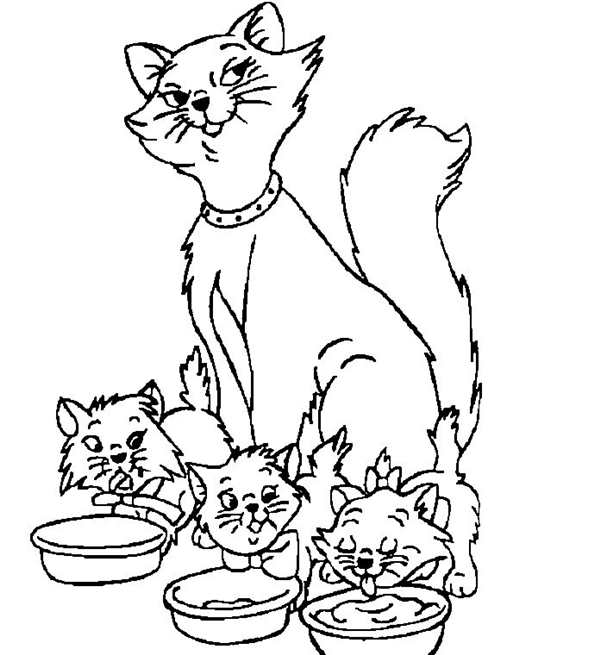 Кошки. Раскраска