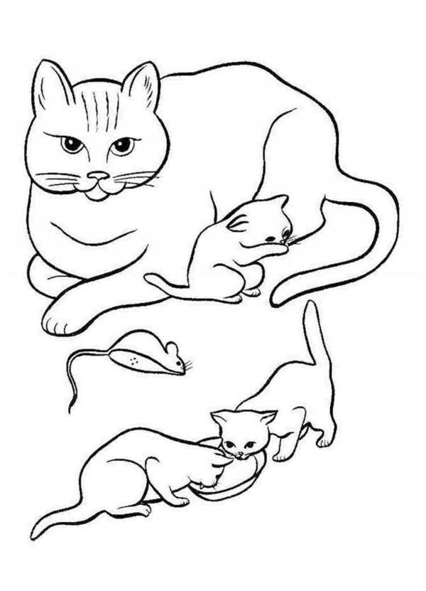 Котенок. Раскраска