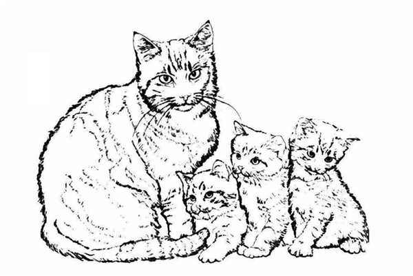 Рисунок ко Дню матери котики