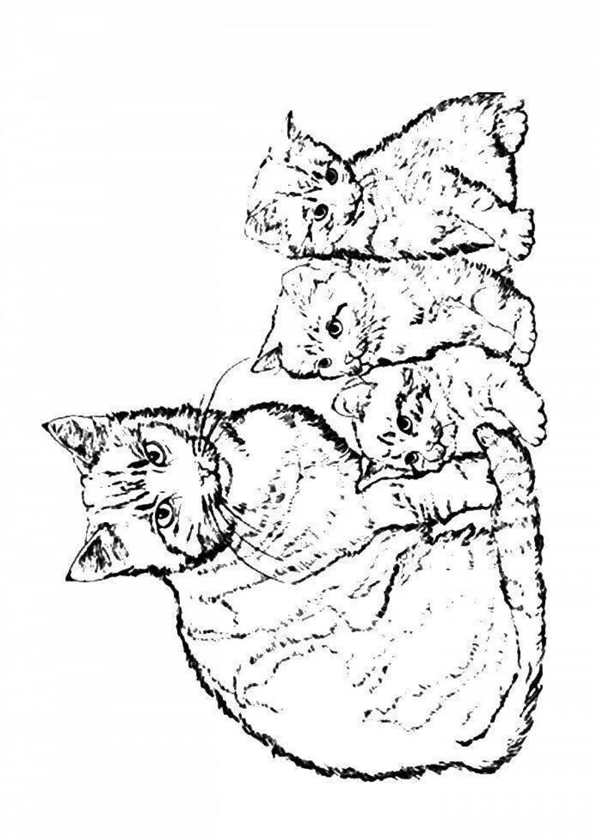 Кошки. Раскраска