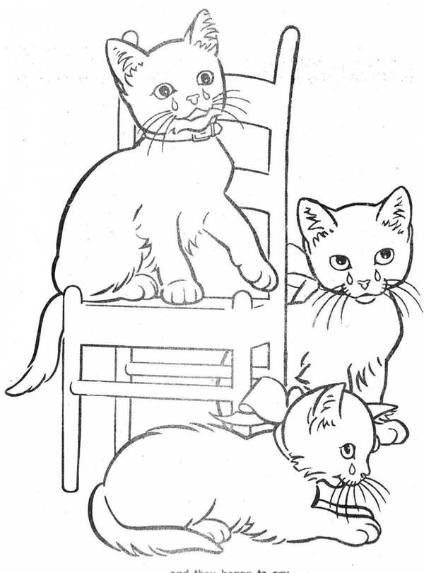 Раскраска Мамакошка и ее котенок