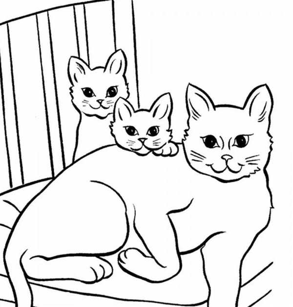 Раскраска Мамакошка и ее котенок
