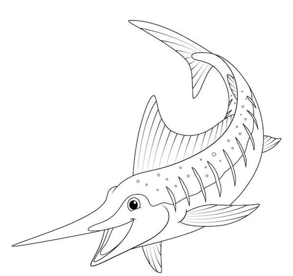 Морские рыбы раскраска для детей