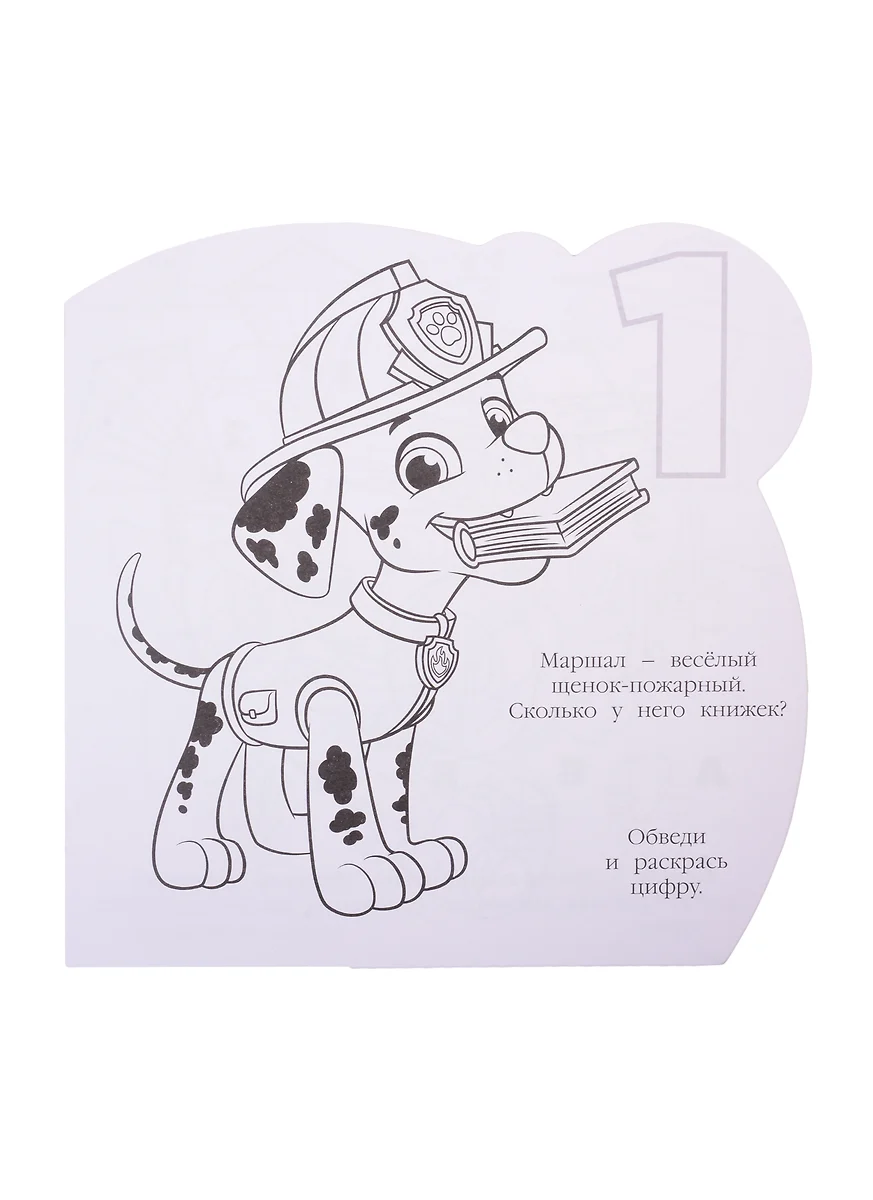 Paw Patrol Fire Truck