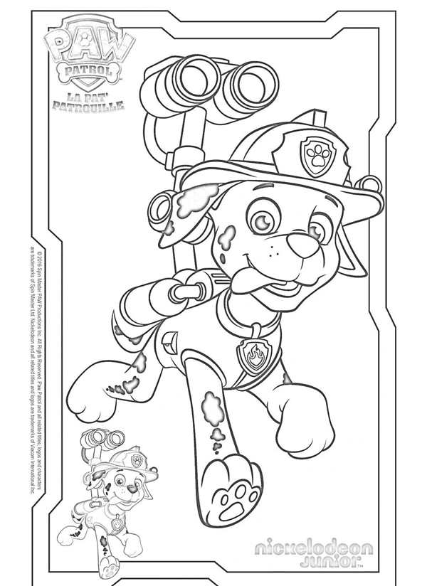 Blaze Paw Patrol Colors