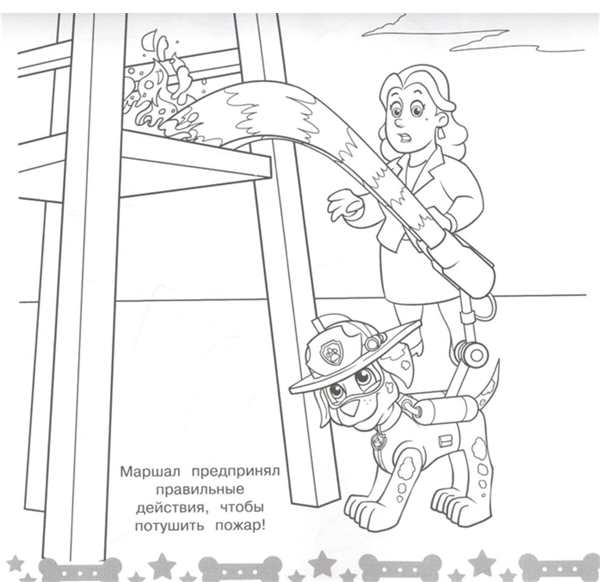 Рокки Щенячий патруль зазукпашка