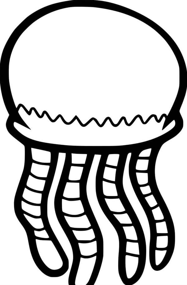 Jellyfish раскраска для детей