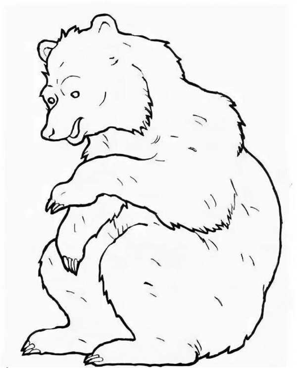 Медведь раскраска