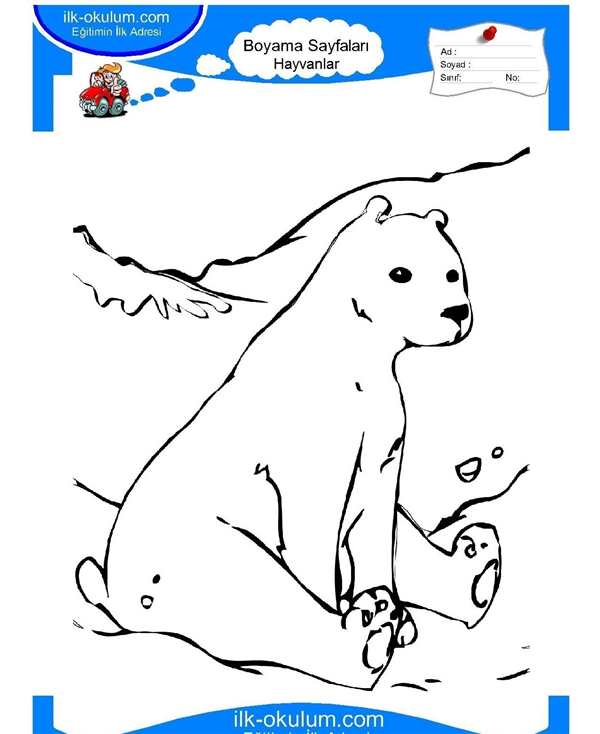 Раскраска Медведь на Льдине