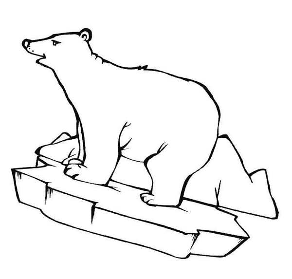 Раскраска Медведь на Льдине