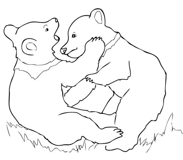 Медведь рисунок
